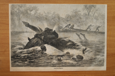 Holzstich Angriff Nilpferd 1866 Afrika Fluss Boot Big Five
